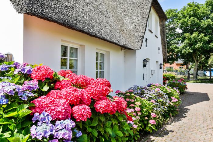 Hausteil unter Reet - Sylt, Hedigenwai 8 | Hausteil 1
