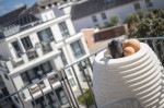 Appartement-Vermietung Bals - Üp Taak - Klaus-Groth-Straße 3 | 7 | Sylt | Westerland, 3-Zimmer-Penthouse für 4 Personen mit 2 Schlafzimmer, 2 Badezimmer, ca. 108 m2, Fahrstuhl im Haus, Grundstück ca. 0 m2 - Bild-36