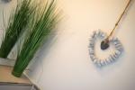 Appartement-Vermietung Bals -  - Hoogenkamp 32 | Wohnung 2 | Sylt | Westerland, 3-Zimmer-OG-Wohnung  | Maisonette für 4 Personen mit 2 Schlafzimmer, 1 Badezimmer, Gäste WC, ca. 77 m2, Grundstück ca. 0 m2 - Bild-15