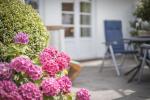 Appartement-Vermietung Bals - Wohnpark Friesenhain - Kollundweg 27d | Sylt | Westerland, 2-Zimmer-EG-Wohnung für 2 Personen mit 1 Schlafzimmer, 1 Badezimmer, ca. 55 m2, Grundstück ca. 0 m2 - Bild-24