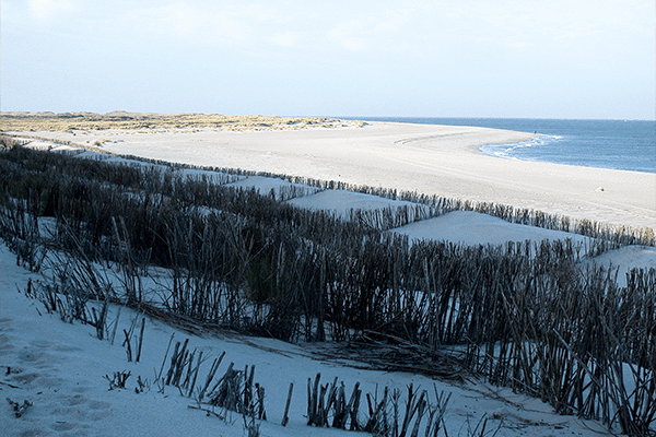 Sylt Tradition Bals sylt tradition 12 - Sylt Tradition