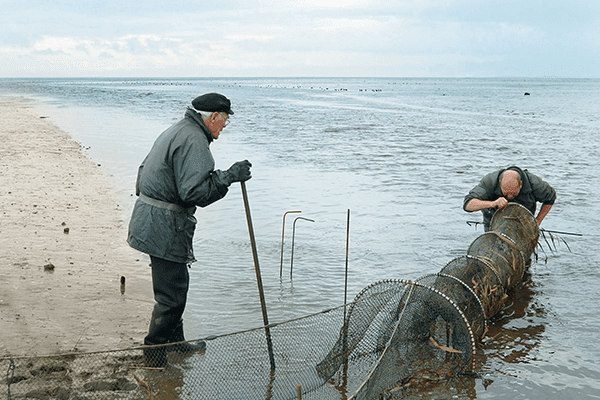 Sylt Tradition Bals sylt tradition 9 - Sylt Tradition