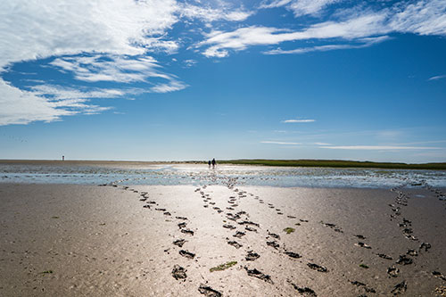 Absatz 04 Wattenmeer - &Uuml;ber Sylt