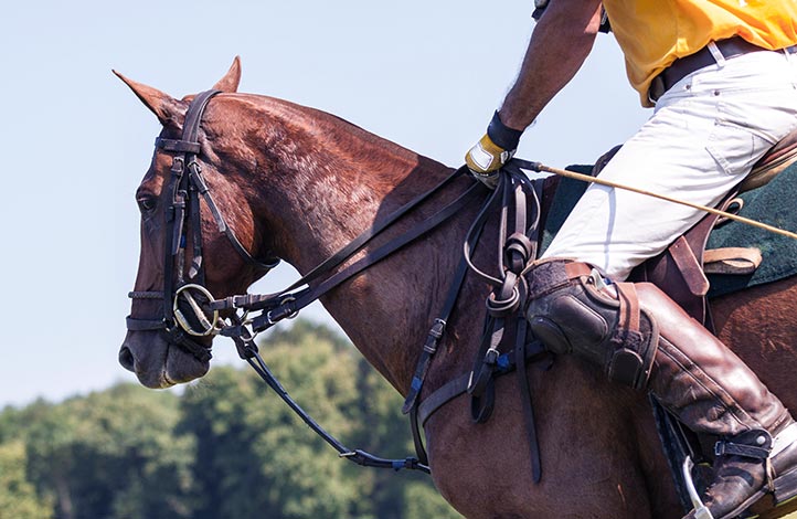 Ein Polospieler beim German Polo Masters auf Sylt Ein Polospieler beim German Polo Masters auf Sylt