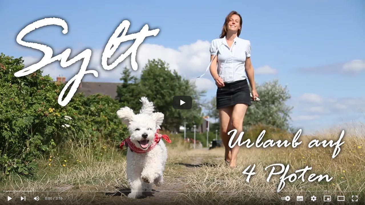 Ferien mit Hund auf Sylt urlaub mit hund - Ferien mit Hund auf Sylt