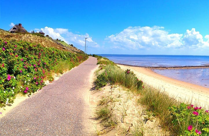 Sylt – Wissenswerte Links Sylt – Wissenswerte Links