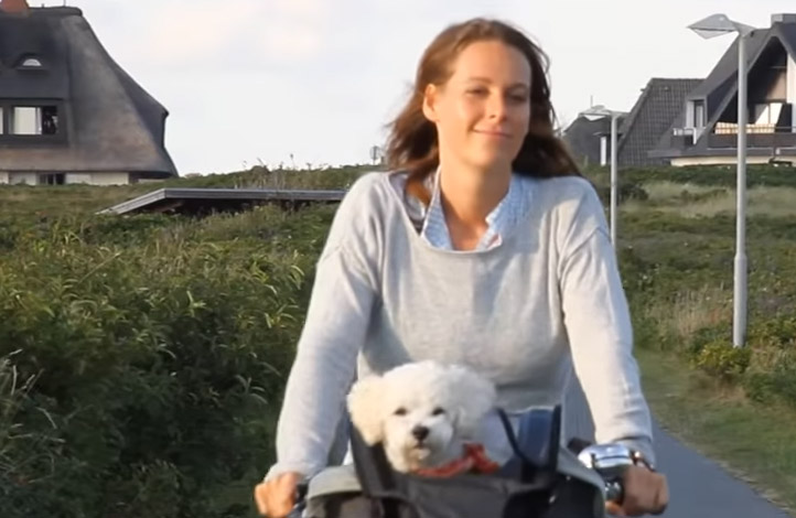 Ferien mit Hund Ferien mit Hund
